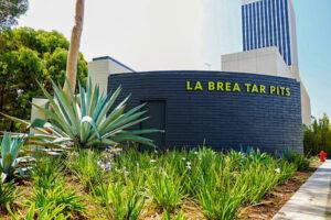 La Brea Tar Pits Museum