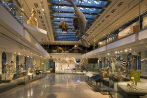 מוזיאון ההיסטוריה של הטבע לוס אנג'לס